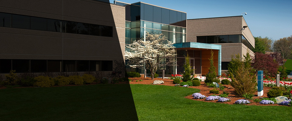 Santa Clarita Landscapers