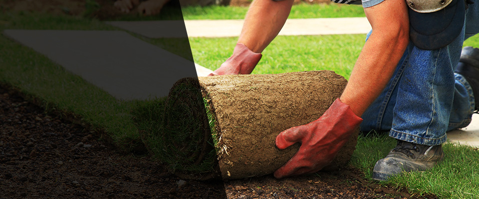 Santa Clarita Landscapers